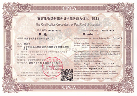 国家B级资质