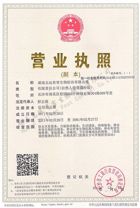 团队风采标题三